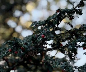 Jesień w Polsce 2025