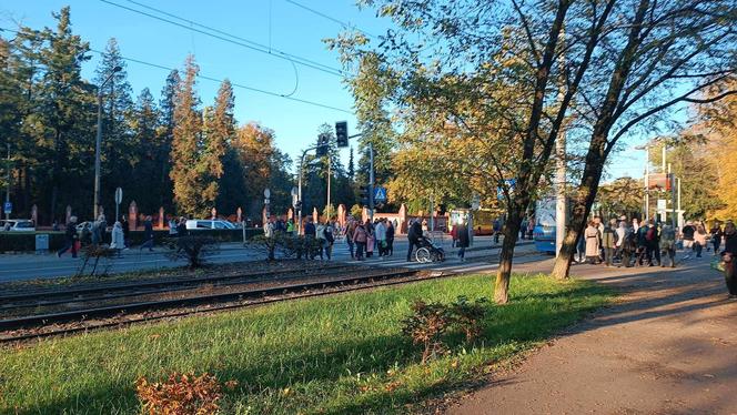 Tłumy na grobach we Wrocławiu. Zobaczcie zdjęcia z cmentarzy [GALERIA]