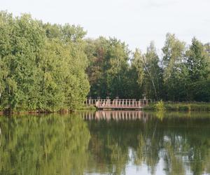 Park Leśny Tetmajera w Bronowicach