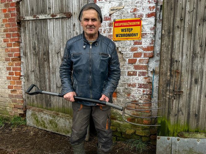 Takt zniknął ze stajni. Właściciel załamany