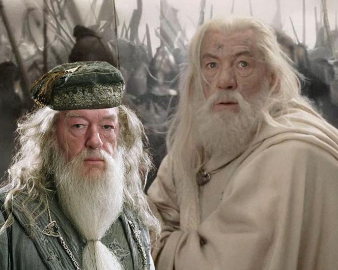 Sir Ian McKellen jako Albus Percival Wulfryk Brian Dumbledore