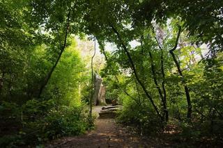 Gigantyczny spór o Park Naturalny Wrzosowisko. Ogromne emocje podczas sesji Rady Miasta Torunia
