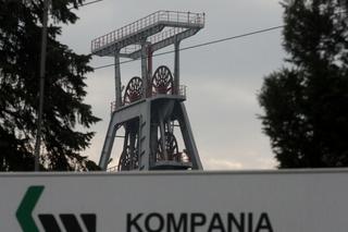 Raport Greenpeace. Kto zatruł Odrę? Naukowcy mówią o kopalniach ze Śląska