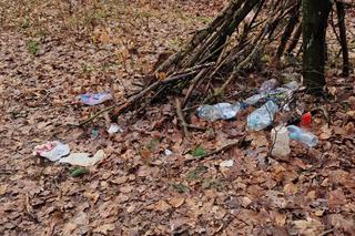 Iławianie po raz szósty połączyli siły, by oczyścić las za osiedlem Podleśnym