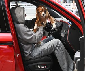 Krzysztof Gojdź przyleciał do Polski