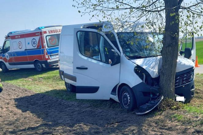 Niebezpiecznie na trasach regionu. Kierowca chciał ominąć stado dzików i uderzył w drzewo 