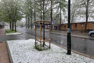 Śnieżyca w Małopolsce. Atak zimy w połowie maja!