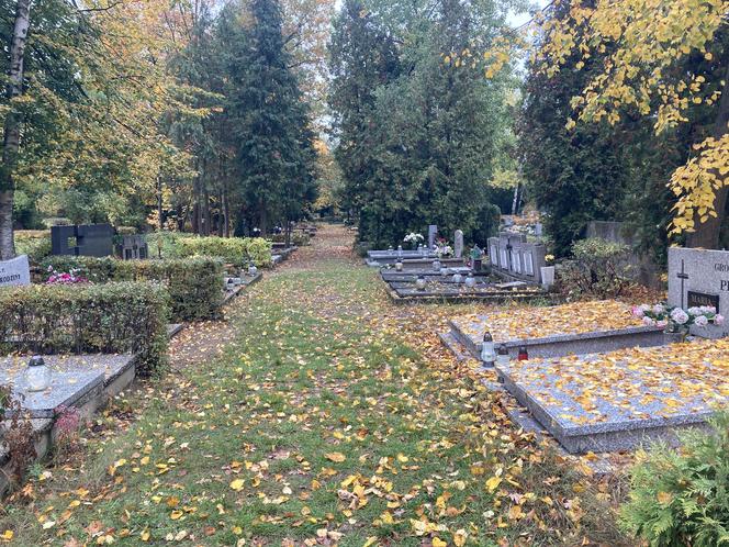 Cmentarz Junikowo 