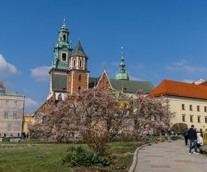 To najdroższe muzeum w Polsce. Za rodzinne zwiedzanie musimy zapłacić ponad 300 zł