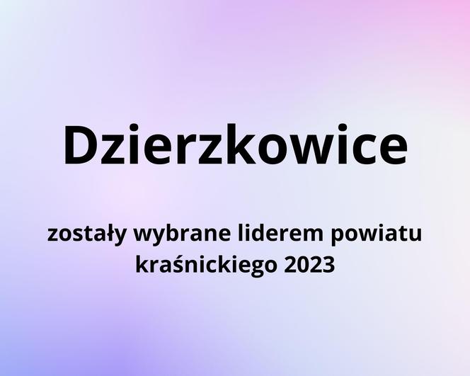 Zwycięzcy w kategorii „Liderzy powiatów” w Rankingu Gmin Lubelszczyzny 2023