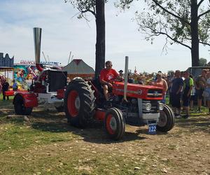 Festiwal starych ciągników w Wilkowicach. Setki maszyn, tysiące widzów i upał