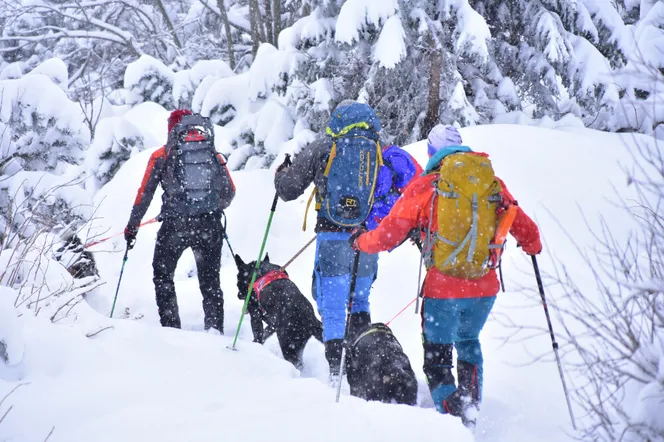 Tatry zamknięte dla turystów! Koszmarna pogoda w górach, śniegu jest po pas