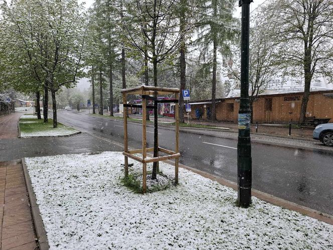 Atak zimy w maju. Śnieg w Zakopanem
