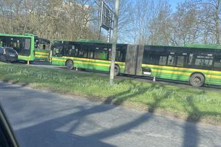 Zderzenie autobusów w Szczecinie 