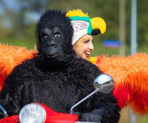 Nadchodzi Jungle Night w FACTORY Kraków. Rabaty sięgną nawet 50 procent!