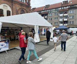 WOLIN Z RYBĄ NA TALERZU - KAMIEŃ POMORSKI - GALERIA