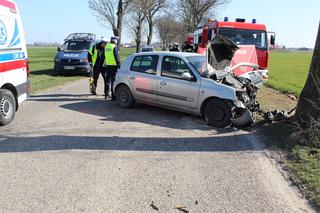 71-latek uderzył w drzewo Renault Clio. Zmarł w wyniku poniesionych obrażeń