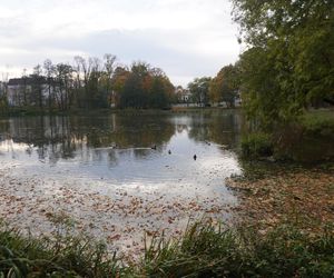 Park Lubomirskich w Białymstoku jesienią 