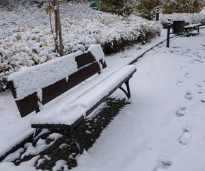 Stolica pod śniegiem 