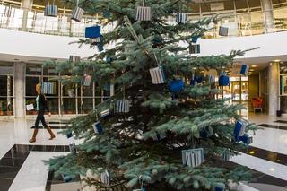 Tak wyglądały wszystkie choinki stworzone przez pracowników Biblioteki Uniwersyteckiej UWM w Olsztynie