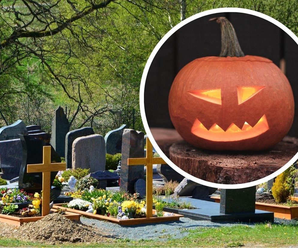 Skąd wzięła się dynia na Halloween? Dawni Celtowie mieli swoje powody! Wszystko wiąże się z legendą o Jacku Stingy