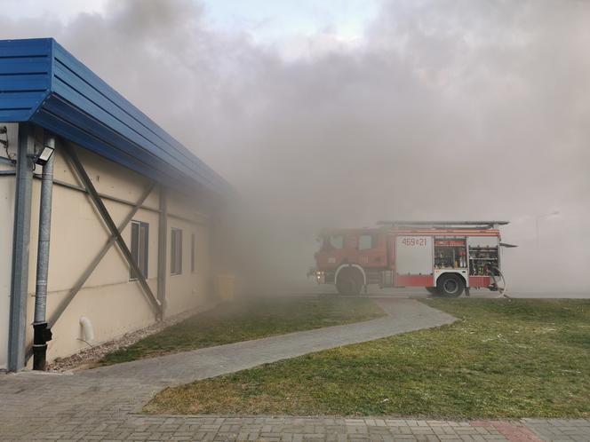 Pożar w zakładach drobiarskich w Iławie. Podsumowanie działań
