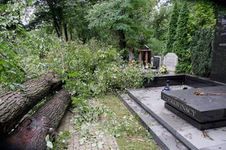 Połamane drzewa na cmentarzu 