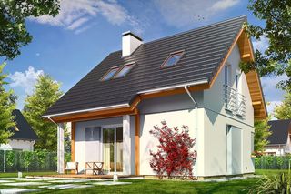 MG0182 Mikrus