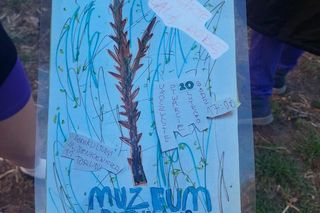 Muzeum Patyka w Toruniu