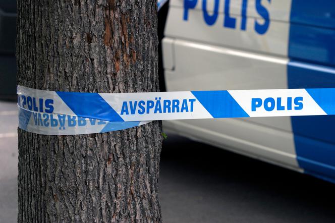 Zaginięcie Polki w Szwecji. W lesie znaleziono zwłoki