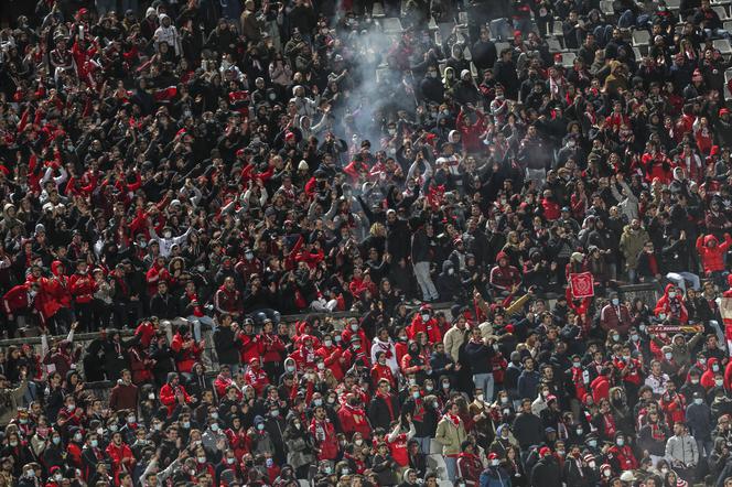 Kibice podczas meczu Benfica Lizbona - Dynamo Kijów