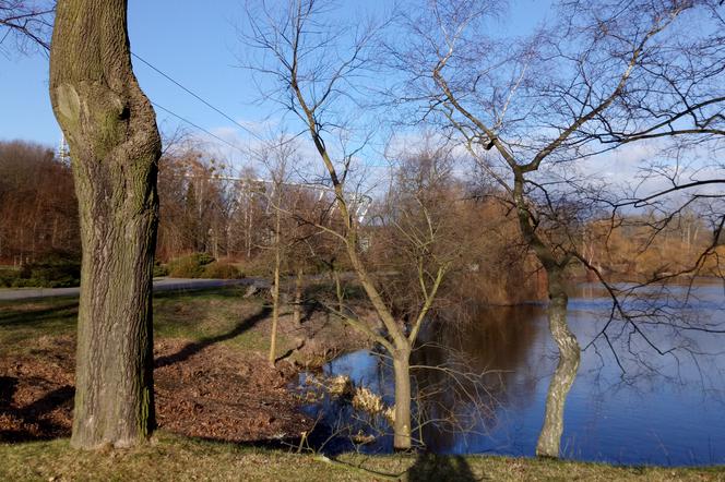 Ruszyły zapisy na Bieg Wiosenny z metą na Stadionie Śląskim. To jedna z największych imprez biegowych w regionie [AUDIO]