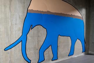 Nowa ścieżka edukacyjna w łódzkim Orientarium