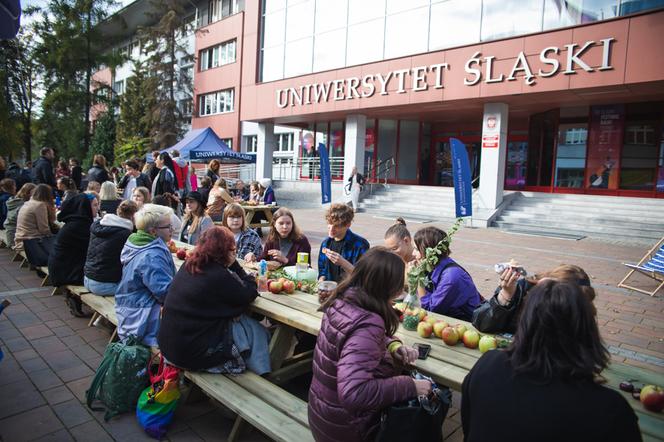 Rewitalizacja terenu wokół Rawy w Katowicach