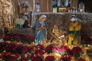 Niecodzienne szopki Pomorza. Gdzie jest największa, a gdzie zobaczymy żywe zwierzęta?
