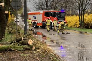 Potężna wichura przeszła nad Sosnowcem zdjęcia