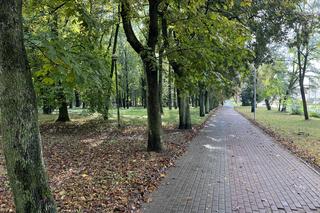 Park Kopernika w Gorzowie w jesiennej scenerii