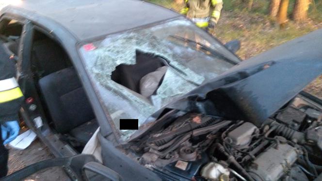  Poważny wypadek w Rogaszycach. Pasażerka wypadła przez szybę, kierowca bez uprawnień!