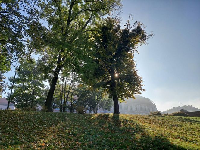 Zamojski Park jesienią