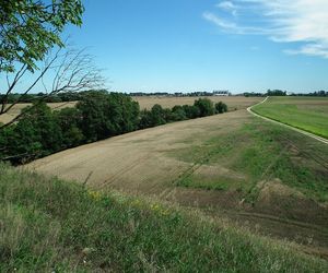 Kałdus