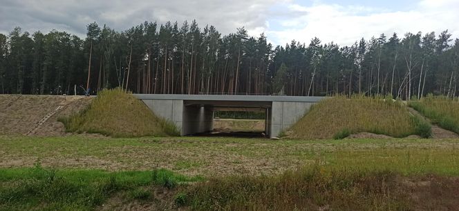 Postęp prac na węźle S19 Krynice-Białystok Zachód