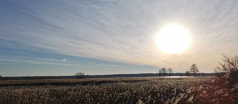 Słoneczny, poświąteczny spacer nad stawami przygodzickimi