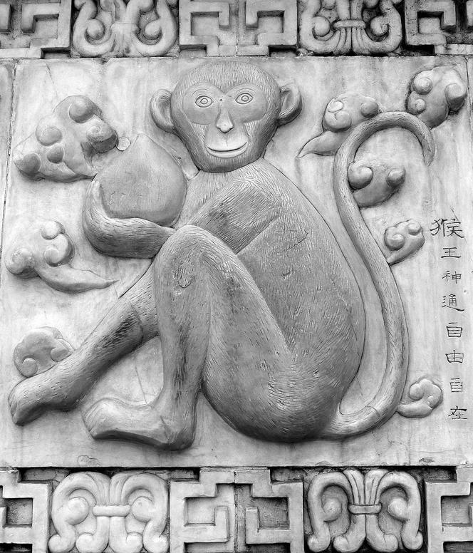 Horoskop chiński na rok 2024 – Małpa