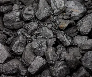Węgiel od samorządu bez prawa do reklamacji? Przedsiębiorca z Wielkopolski kupił węgiel, który się nie palił. Wiceminister: nie opowiadajcie bzdur