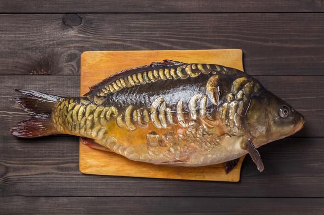 Jak dobrze wybrać karpia do galarety? Karp w galarecie, jak wybrać rybę?