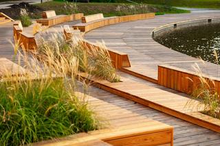 Remont Pola Mokotowskiego