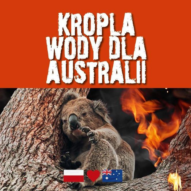 Duża Kropla wody dla Australii. Zebrano prawie 35 tys. złotych na pomoc zwierzętom