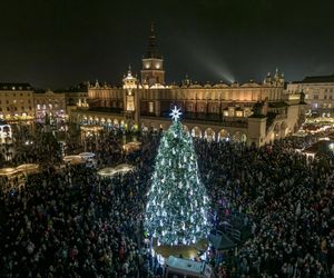 Najpiękniejsza choinka na świecie znajduje się w Polsce! Gdzie ją zobaczyć? 