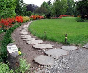 Arboretum Wojsławice prezentuje pełną paletę barw