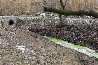 To nie film science-fiction. Tak wygląda rzeka pod Krakowem  